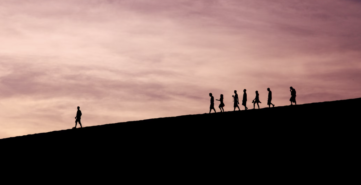 design leadership