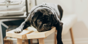 Lavoro noioso: conviene accettarlo? Pro, contro e quando ha senso 